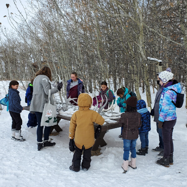 Students and teachers participate in an outdoor field trip at NorthStar Academy Online School